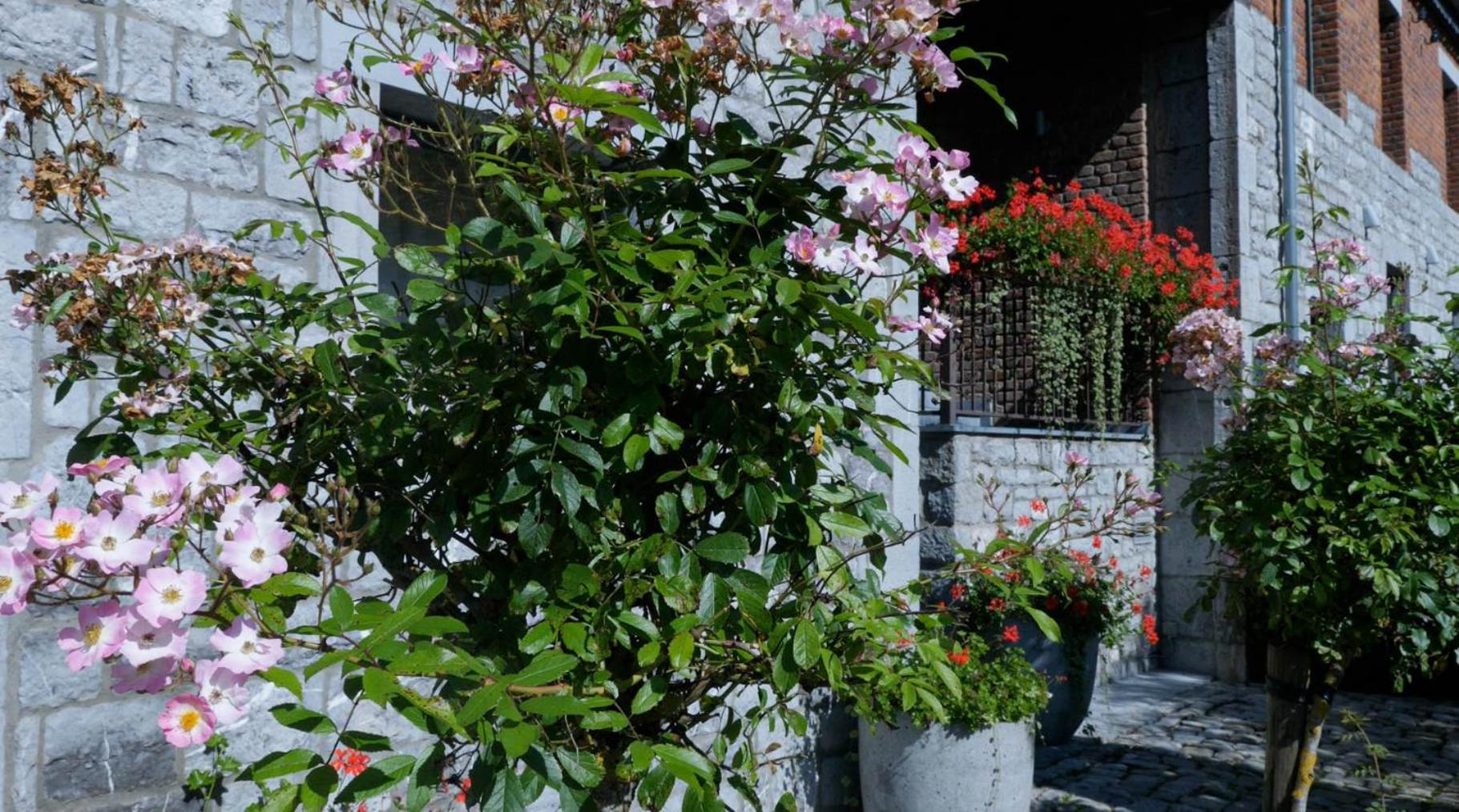 Gîtes Ferme de la Barrière Chimay Esterno foto